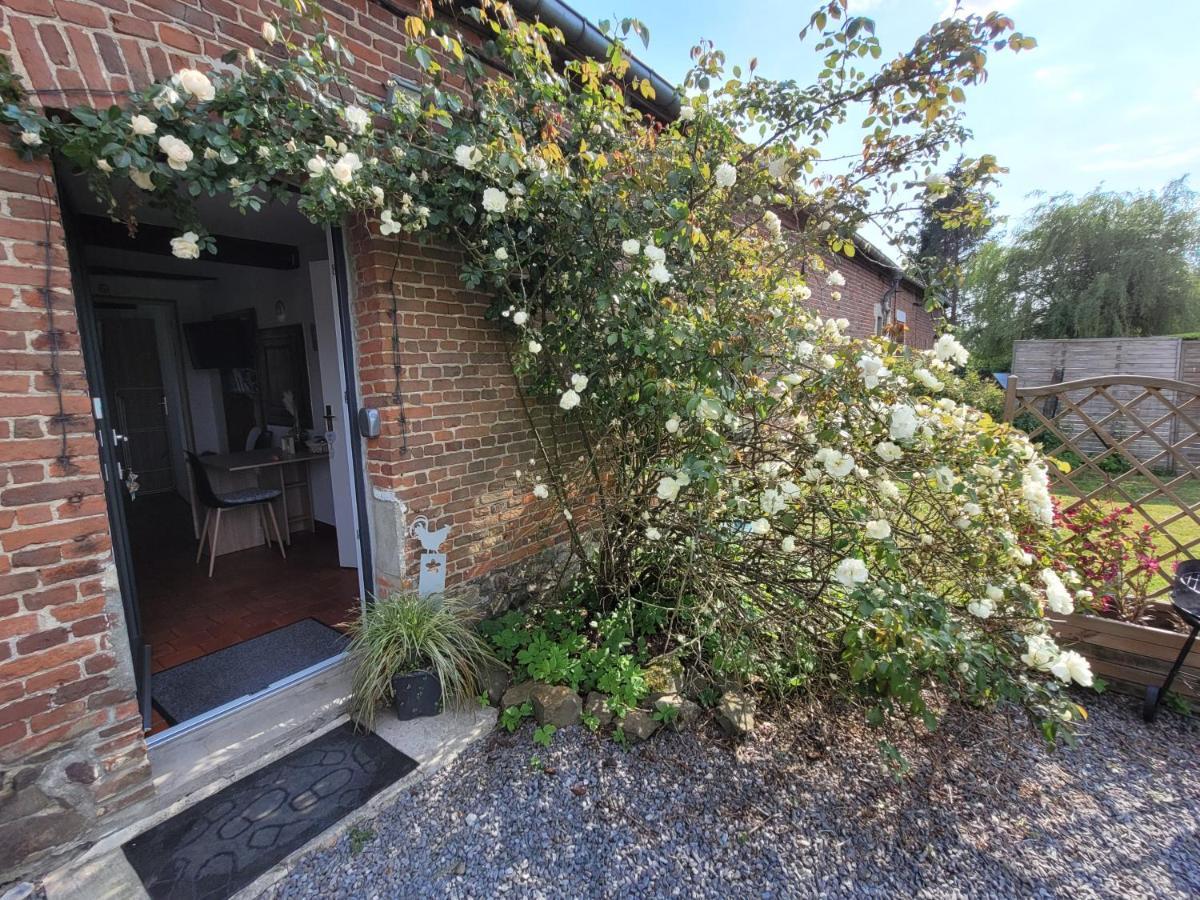 Studio Bienvenue Du Cote De Chez Nous Avec Jardin Privatif Wignehies Экстерьер фото